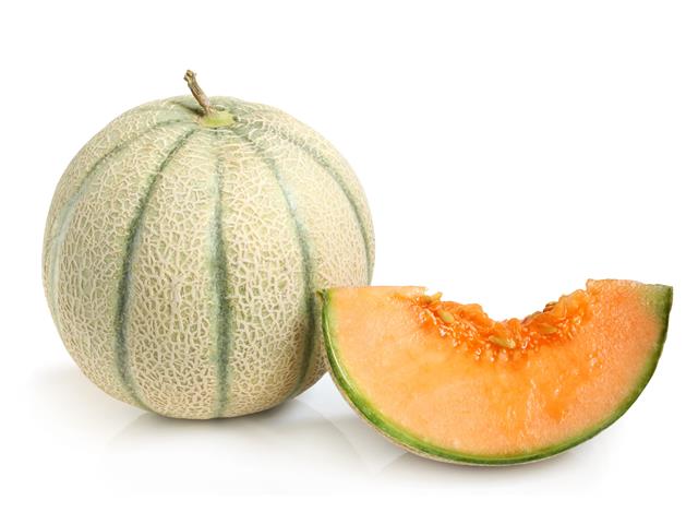 Cantaloupe Type Melon