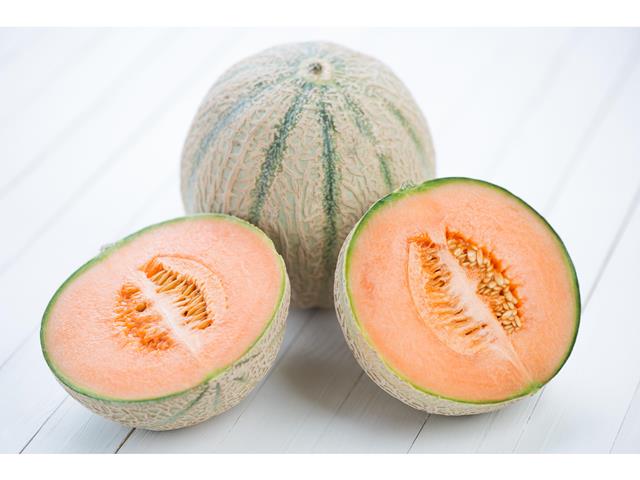 Joya WIS Cantaloupe type melon