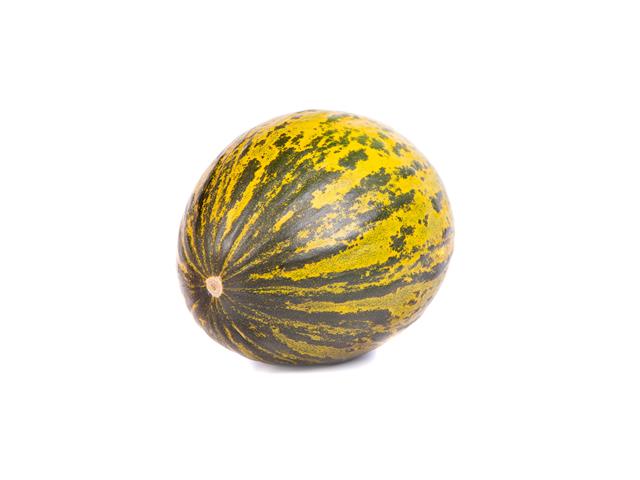 Kirkagac Type Melon