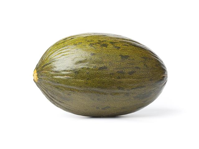 Melon Piel de Sapo Type