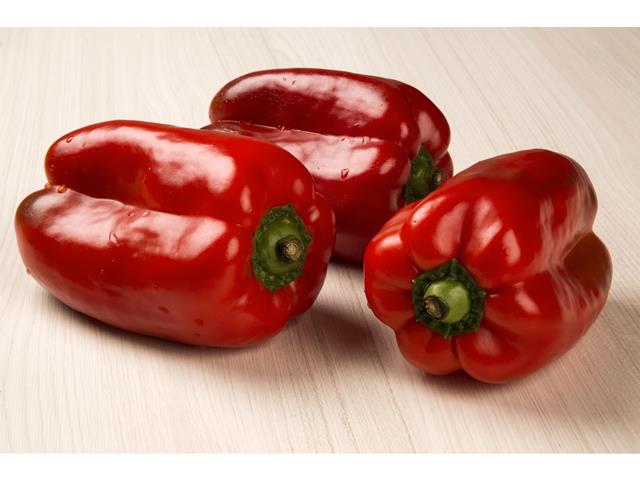 Macarena WIS Lamuyo Pepper type seeds