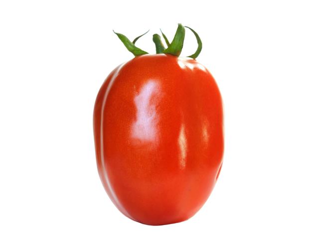 Celena WIS determinate Roma Tomato seeds