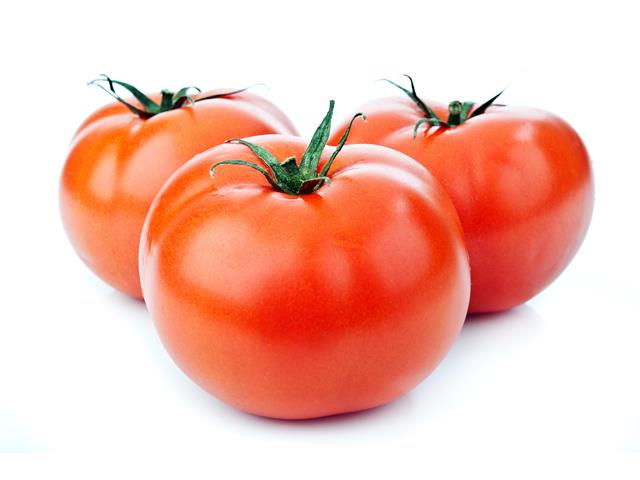 Figaro WIS indeterminate round tomato seeds