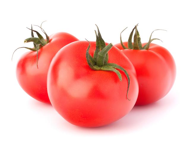 Victory WIS indeterminate round tomato seeds