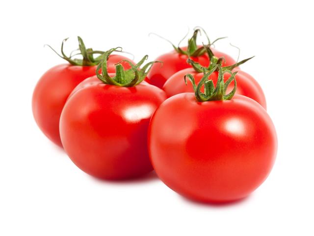 Marlon WIS indeterminate round tomato seeds
