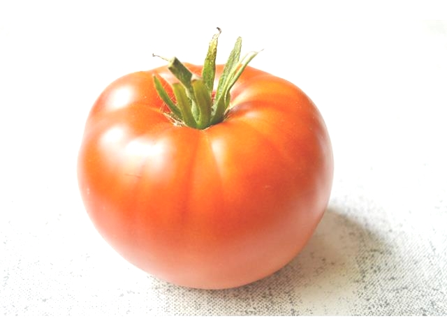 Fidelio WIS indeterminate round tomato seeds