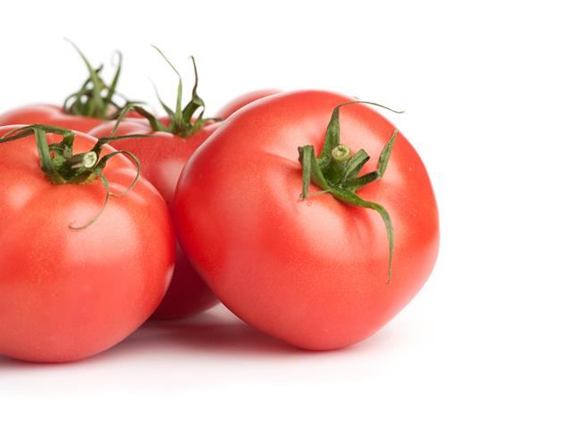 Acappella special tomato wisdom seeds