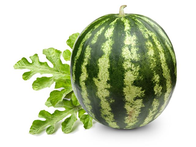 Alona WIS Seedless fruits watermelon