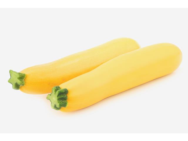 Sandy WIS yellow cylindrical zucchini