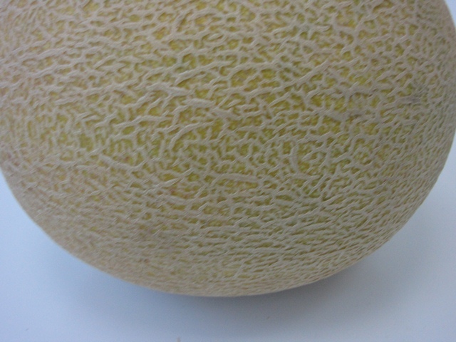 Ananas type melon 55-457 p1