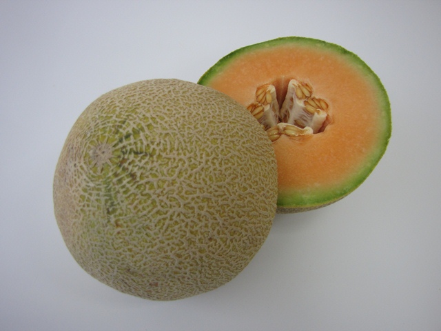 Ananas type melon 55-457 p2