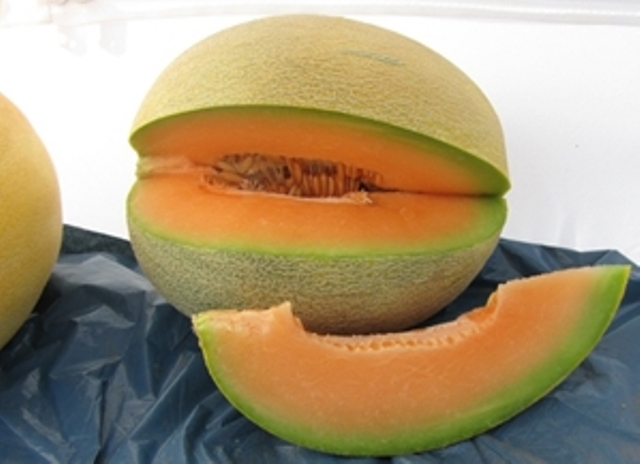 Ananas type melon 55-457 p3