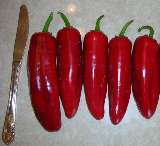 Hot pepper type 750-214 p2