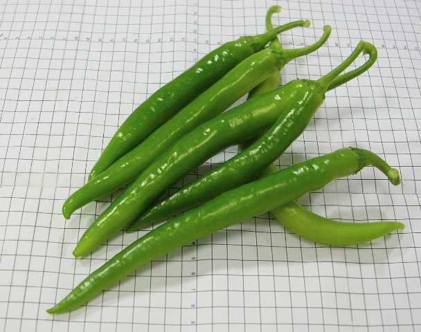 Hot pepper type 75-124 p4