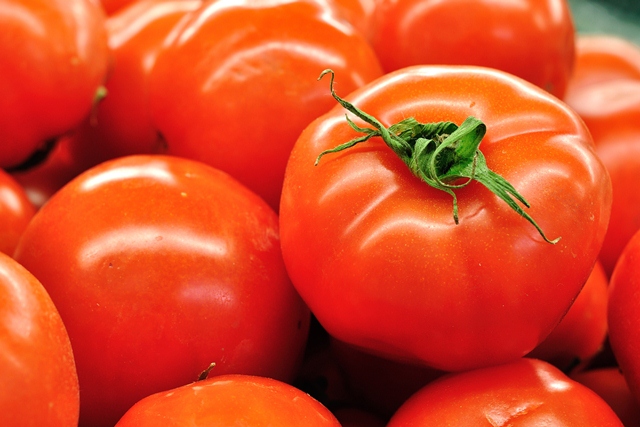 special tomato 85-106 p1